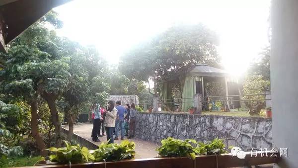 疗愈人的慧灵农场：一群很简单的人，在这里快乐、自在地生活