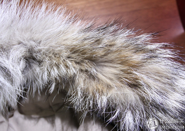 canadagoose序列号,加拿大大鹅和canadagoose的区别