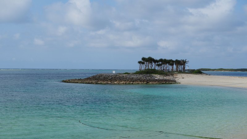 奥林巴斯相机镜头参数,奥林巴斯penf实拍样张