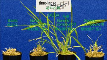 拜耳保试达,拜耳保仕达草铵膦