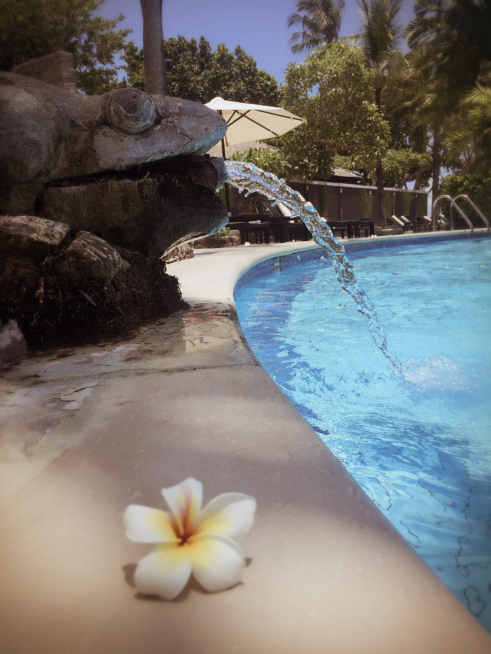 梦幻巴厘只属于你我的蜜月~~逗逼文字、气质趣图