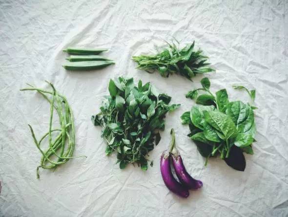 “1/7农”：如果每周只能下地一天，那就试试“懒人务农法”吧