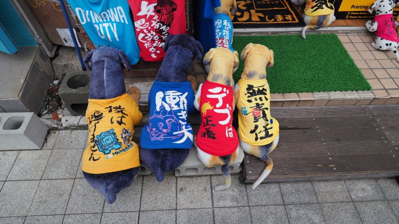 奥林巴斯相机镜头参数,奥林巴斯penf实拍样张