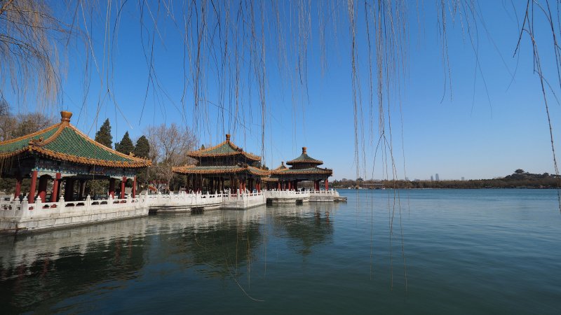 奥林巴斯相机镜头参数,奥林巴斯penf实拍样张