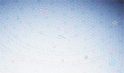 数码宝贝新番51-60标题,数码宝贝tri终章奥米加兽