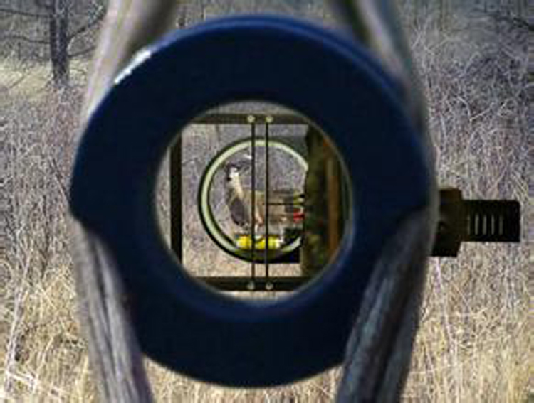 复合弓的倍镜和窥孔有关系吗,复合弓双眼瞄准需要看窥孔吗