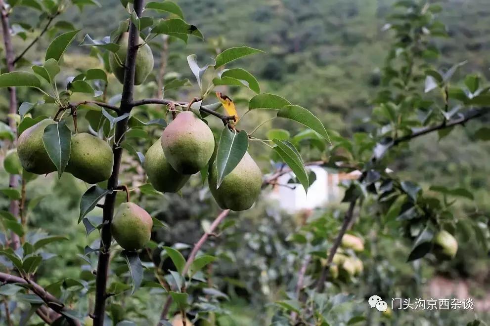 门头沟有山有水的野地,门头沟山里隐藏的别墅