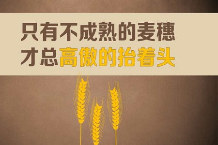 都在会计行业，但我有资格鄙视你！