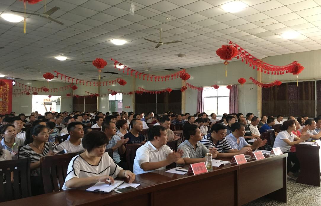 大荔县美丽乡村建设工作,新塬镇脱贫攻坚推进会