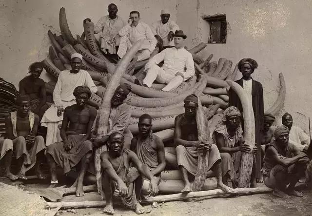 百年前的新材料，烧光了万千妇女的秀发，却拯救了大象推动了摄影