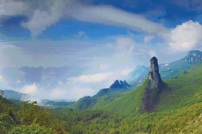 众筹农业种植项目,恩施咸丰富硒小土豆扶贫