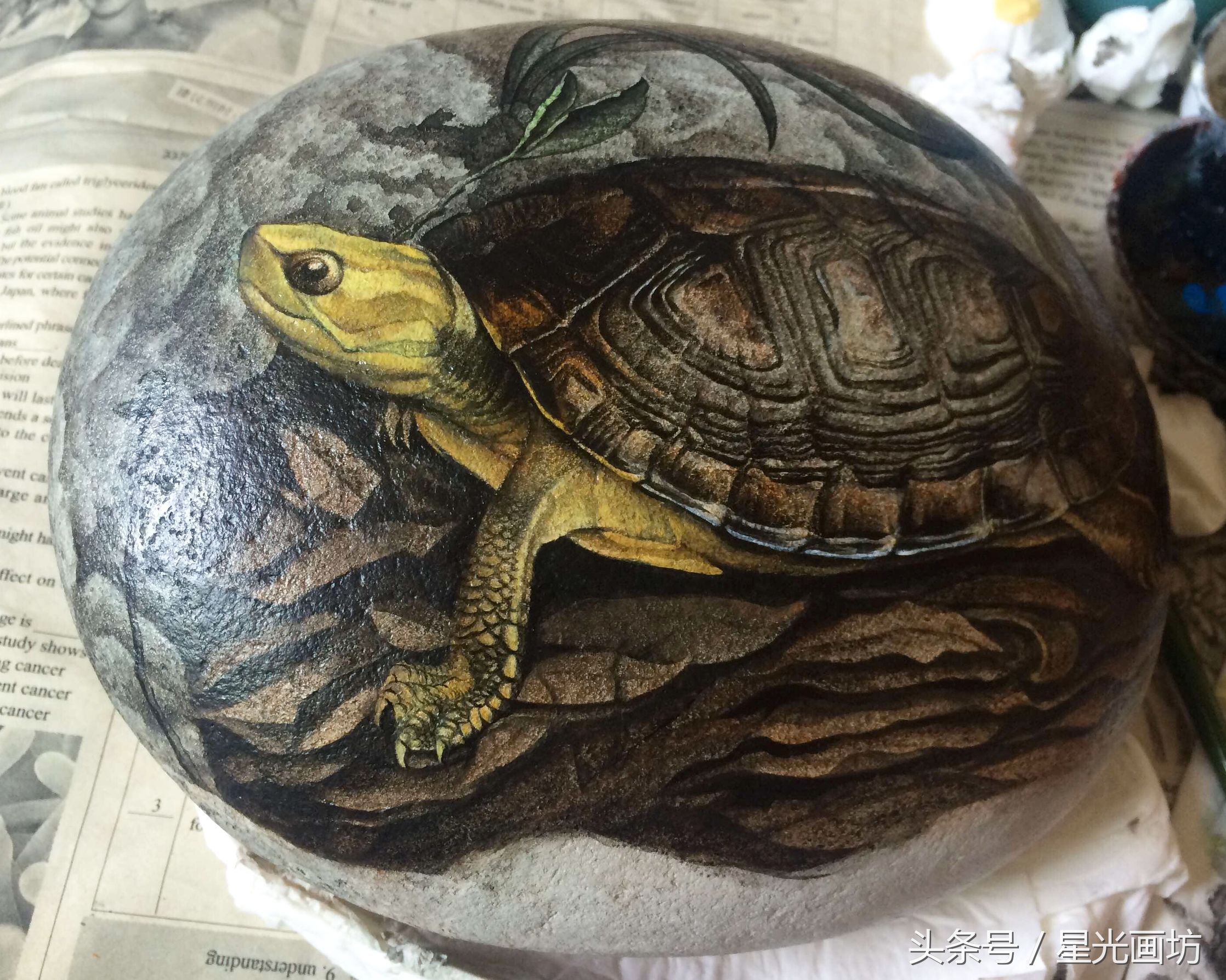 石头上画乌龟教程,龟石头画教程