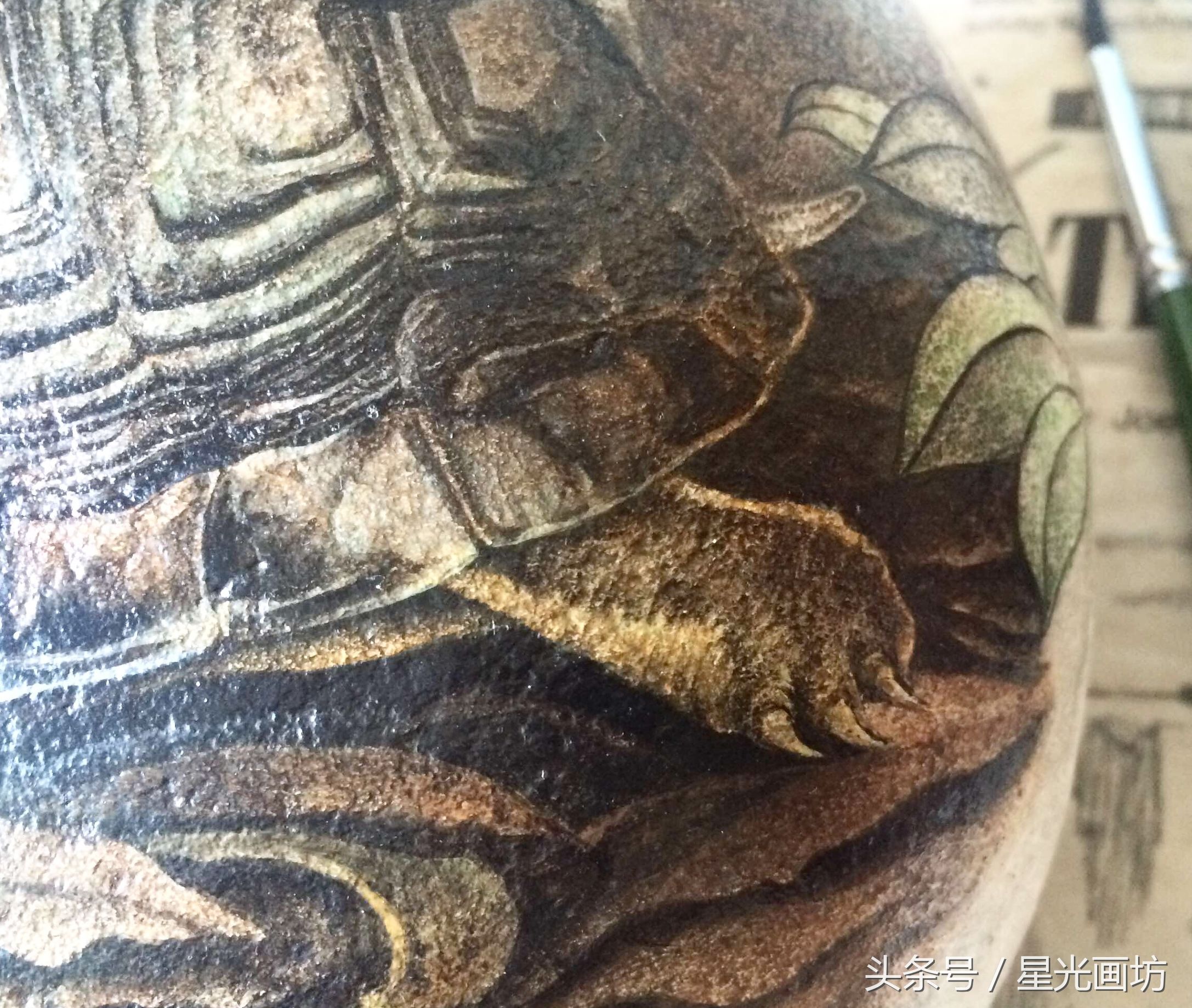 石头上画乌龟教程,龟石头画教程