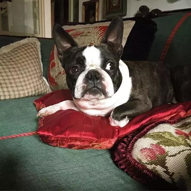 gucci家具设计图,gucci家居设计