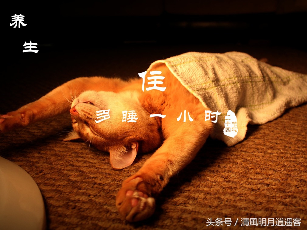 有关二十四节气处暑古诗词,处暑节气农谚