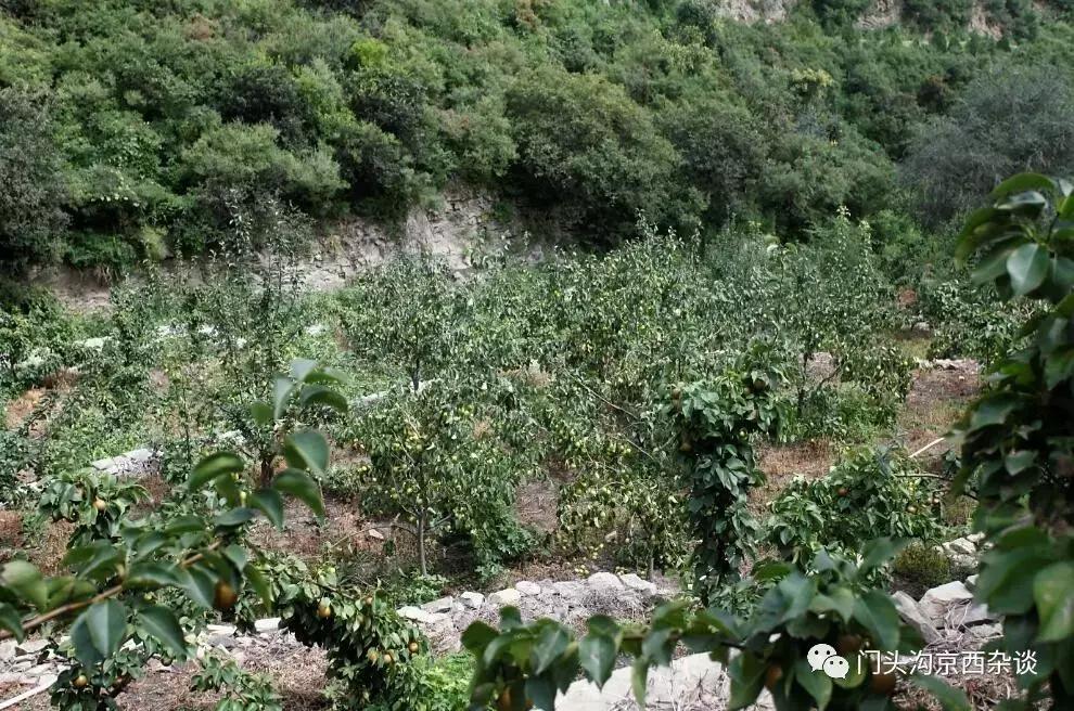 门头沟有山有水的野地,门头沟山里隐藏的别墅