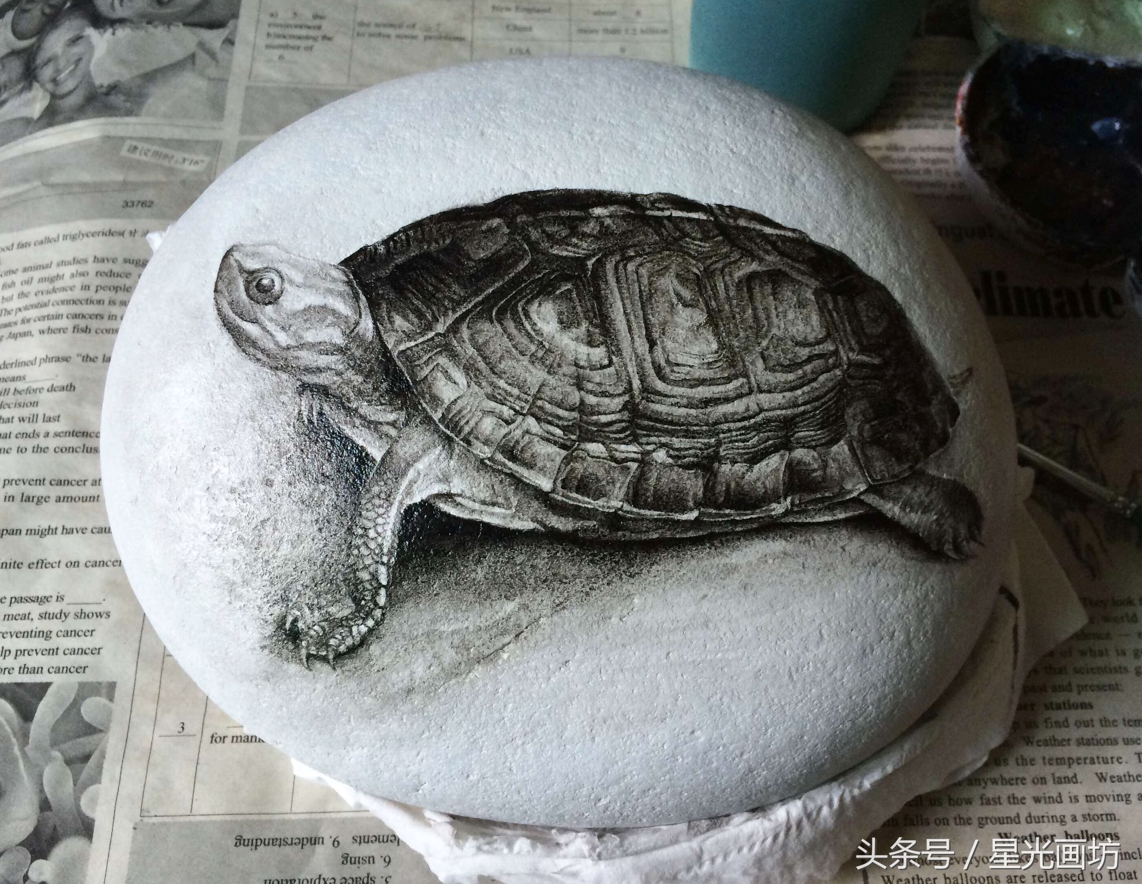 石头上画乌龟教程,龟石头画教程