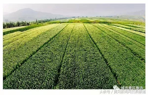 山西岚县十佳旅游城市,岚县旅游景点大全排名