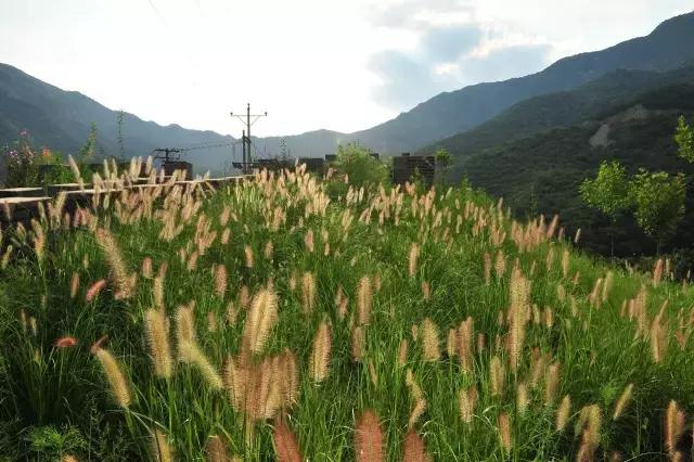 门头沟有山有水的野地,门头沟山里隐藏的别墅
