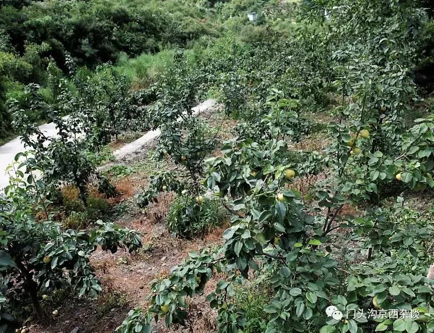 门头沟有山有水的野地,门头沟山里隐藏的别墅