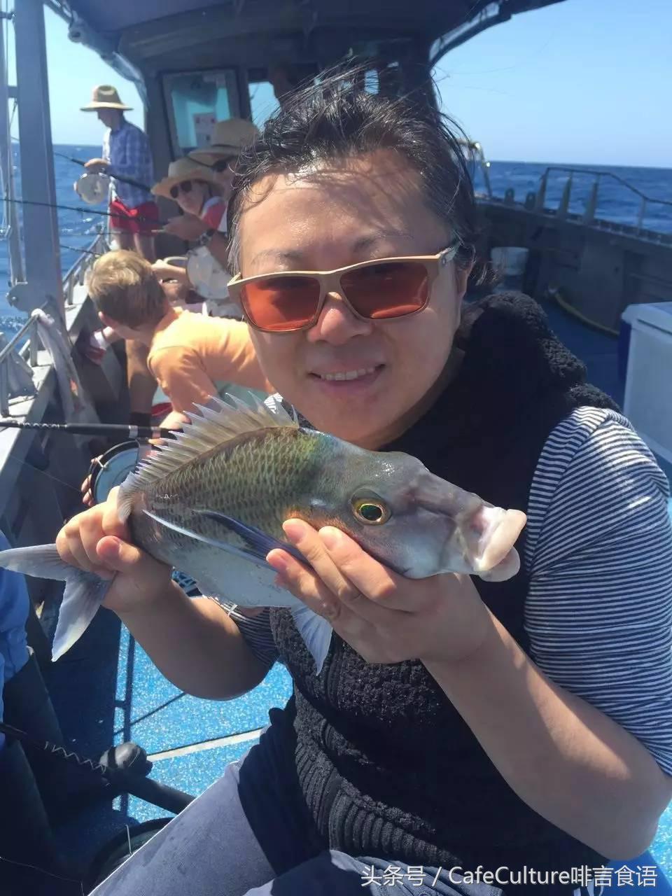 11月20-28日｜邀您参加澳大利亚金豆杯咖啡餐饮之旅