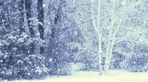 猫咪掉毛怎么弄成毛球,猫咪最近掉毛特别严重怎么办