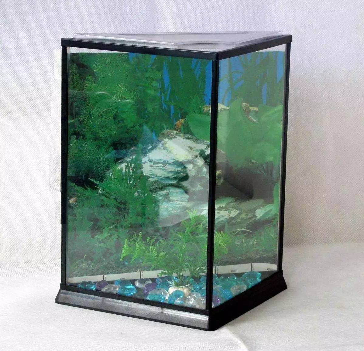 家里摆鱼缸数量有什么讲求,属马属蛇的家里怎么摆鱼缸