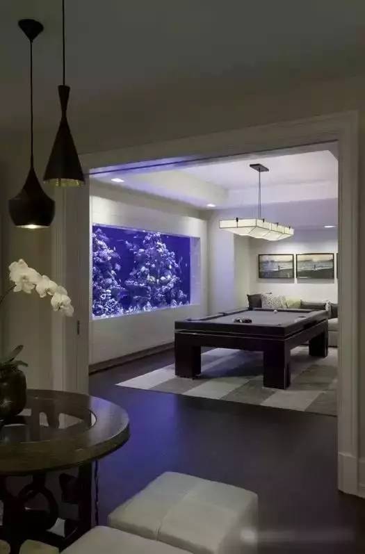 家里摆鱼缸数量有什么讲求,属马属蛇的家里怎么摆鱼缸