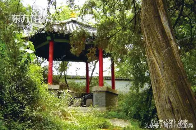 青州偶园诗词,青州偶园简介