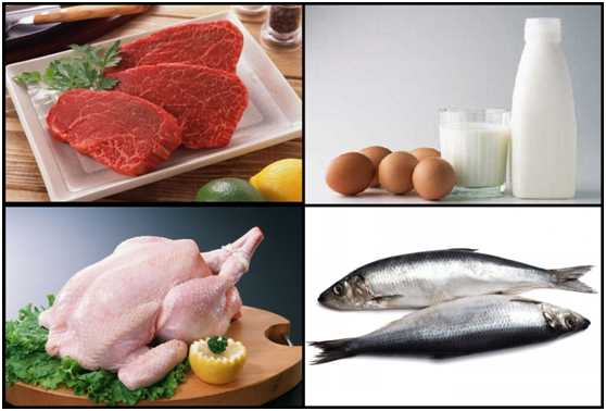 蛋粉选择,哪个牌子的蛋粉好用