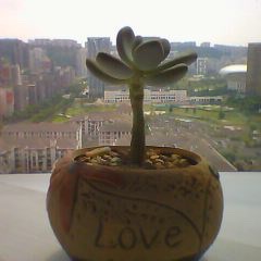 360儿童手表6c支持什么卡,360儿童手表s2领航探索版真实体验