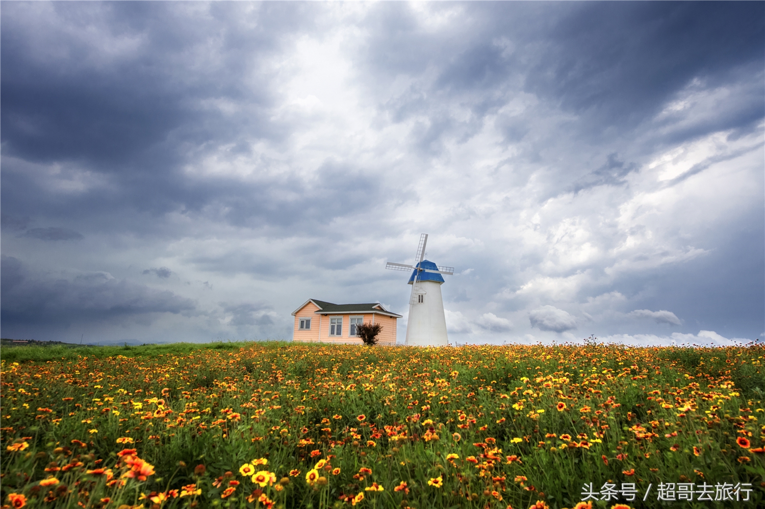 日照花仙子风景区团购,日照花仙子风景区为什么拆了