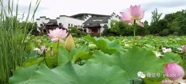 上海视觉艺术学院探校,上海最神秘的一所大学