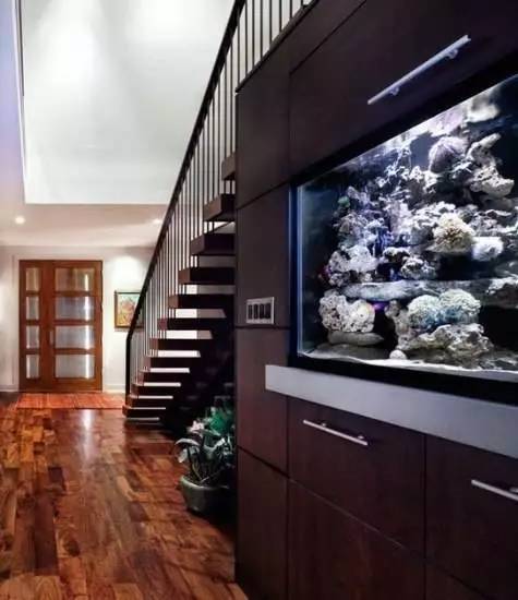 家里摆鱼缸数量有什么讲求,属马属蛇的家里怎么摆鱼缸