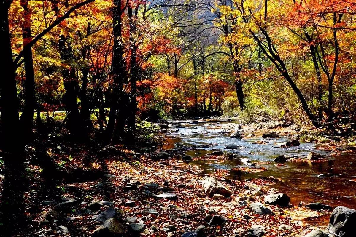 九月辽宁旅游最佳推荐,辽宁赏秋自驾游攻略