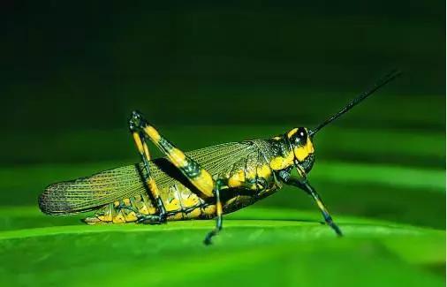 紧致臀腿塑形训练方法,梨形臀腿咋练