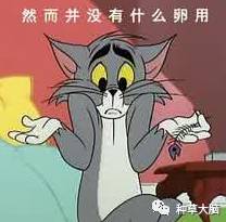 美容仪器小气泡有什么用,美容院小气泡仪器新款