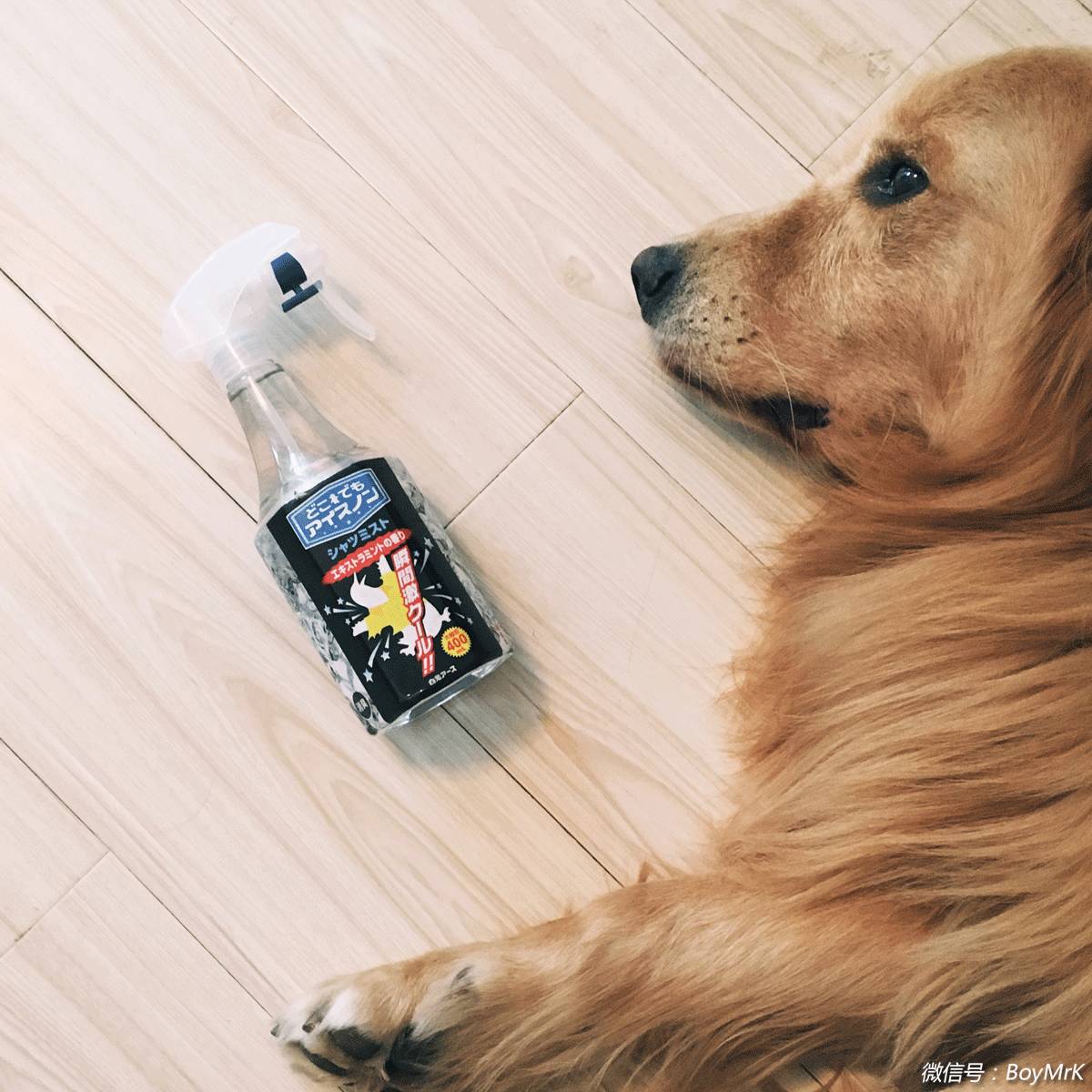 种草颜值爆表又百搭的单品,夏天种草必买清单