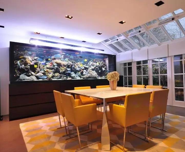 家里摆鱼缸数量有什么讲求,属马属蛇的家里怎么摆鱼缸