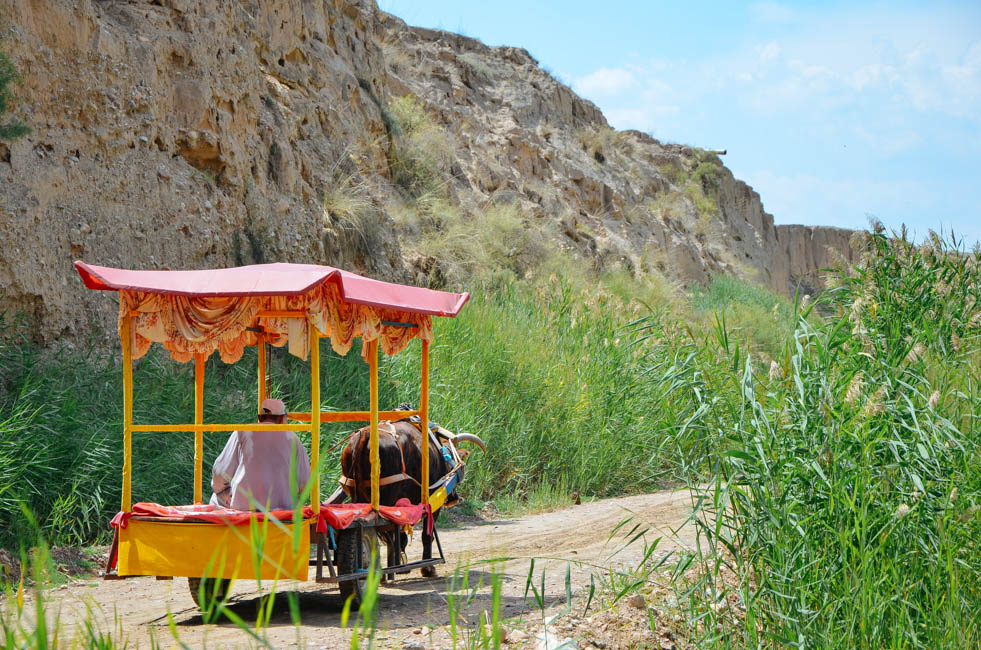 宁夏沙坡头水洞沟,宁夏水洞沟游