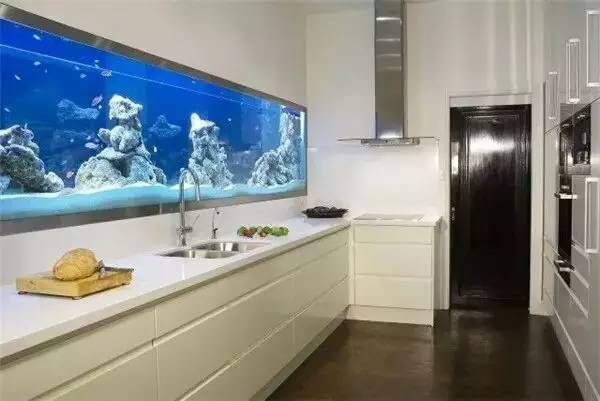 家里摆鱼缸数量有什么讲求,属马属蛇的家里怎么摆鱼缸