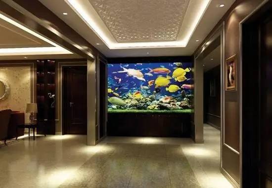 家里摆鱼缸数量有什么讲求,属马属蛇的家里怎么摆鱼缸