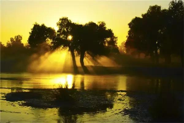 三千年的情缘，三千年的企盼只为这一季的金秋（附攻略）