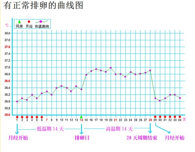 各种排卵试纸测评,体温测排卵正确方法