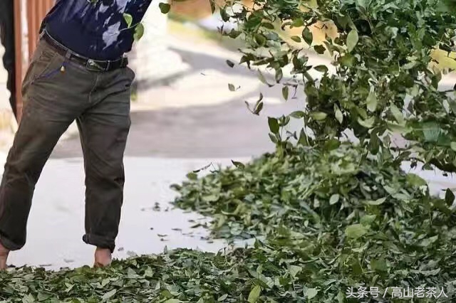 安溪是个怎样的存在，带你走近魅力安溪，走进铁观音