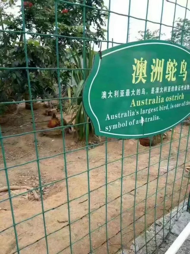 梦想还是要有的没准就实现了呢,梦想还是要有的虽然它很遥远