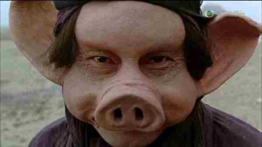 看起来高级又便宜的礼物,看起来高端且实用的礼物