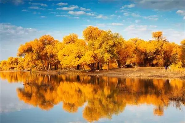 三千年的情缘，三千年的企盼只为这一季的金秋（附攻略）