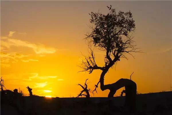 三千年的情缘，三千年的企盼只为这一季的金秋（附攻略）