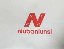 为什么newbalance山寨多,中国的newbalance真的假的